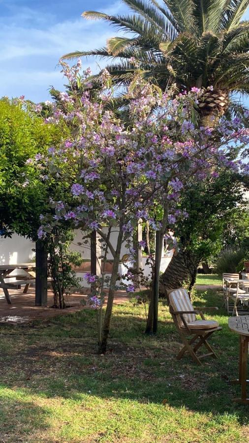Banti Garden Hotel Tarifa Exterior foto